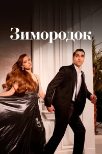 Зимородок (сериал, 1-3 сезон) Зимородок (сериал, 1-3 сезон)
